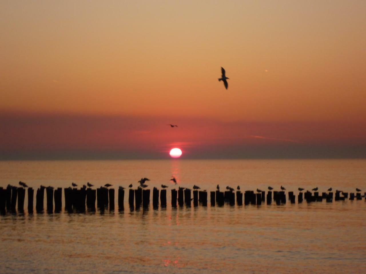 Vakantiewoning Dichtbij Centrum Domburg Do13 Dış mekan fotoğraf